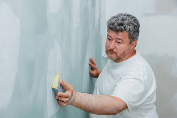 Best Mold Prevention Services  in State Line, PA